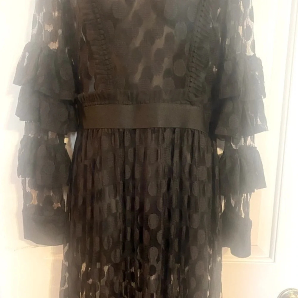 SHEER MESH POLKA DOT TIERED RUFFLE DRESS - Picture 14 of 15